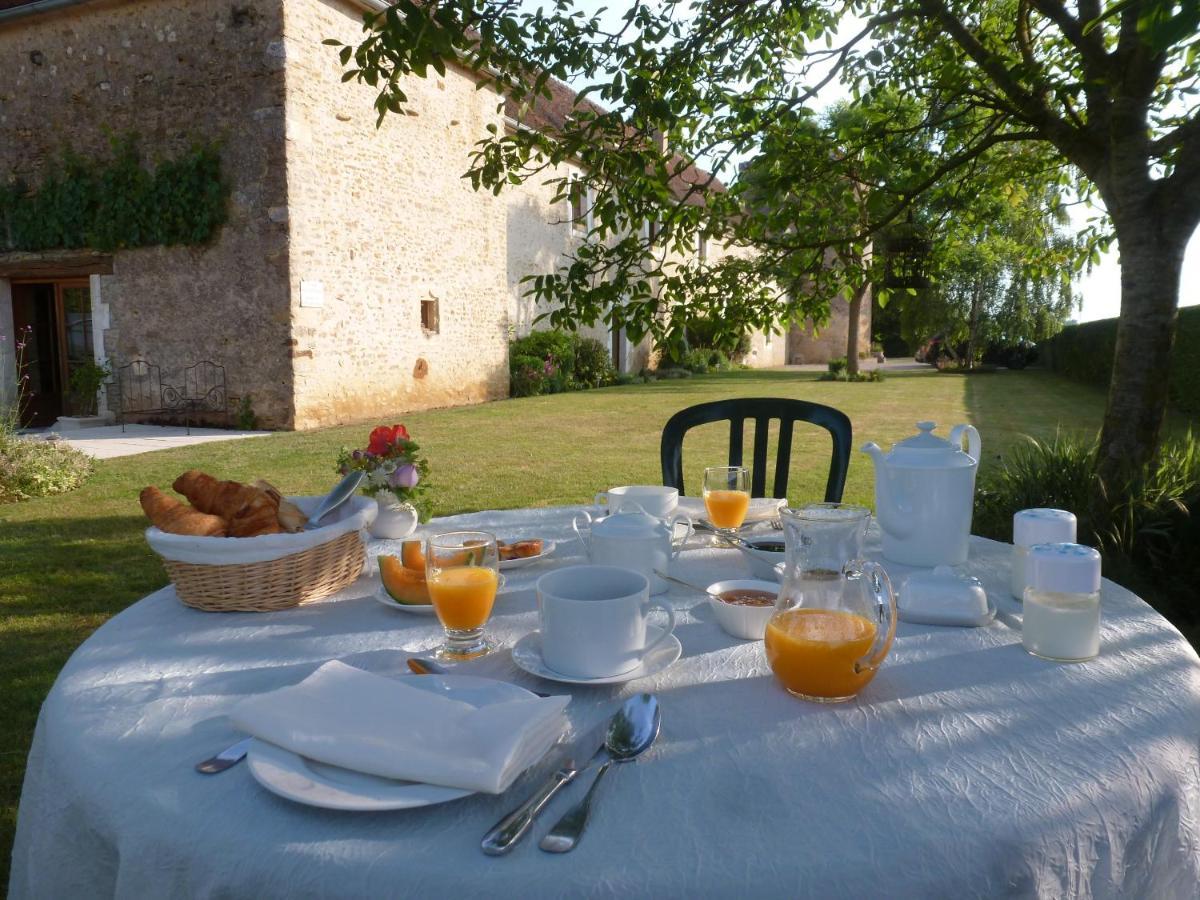 Chateau De Ribourdin Chevannes  エクステリア 写真