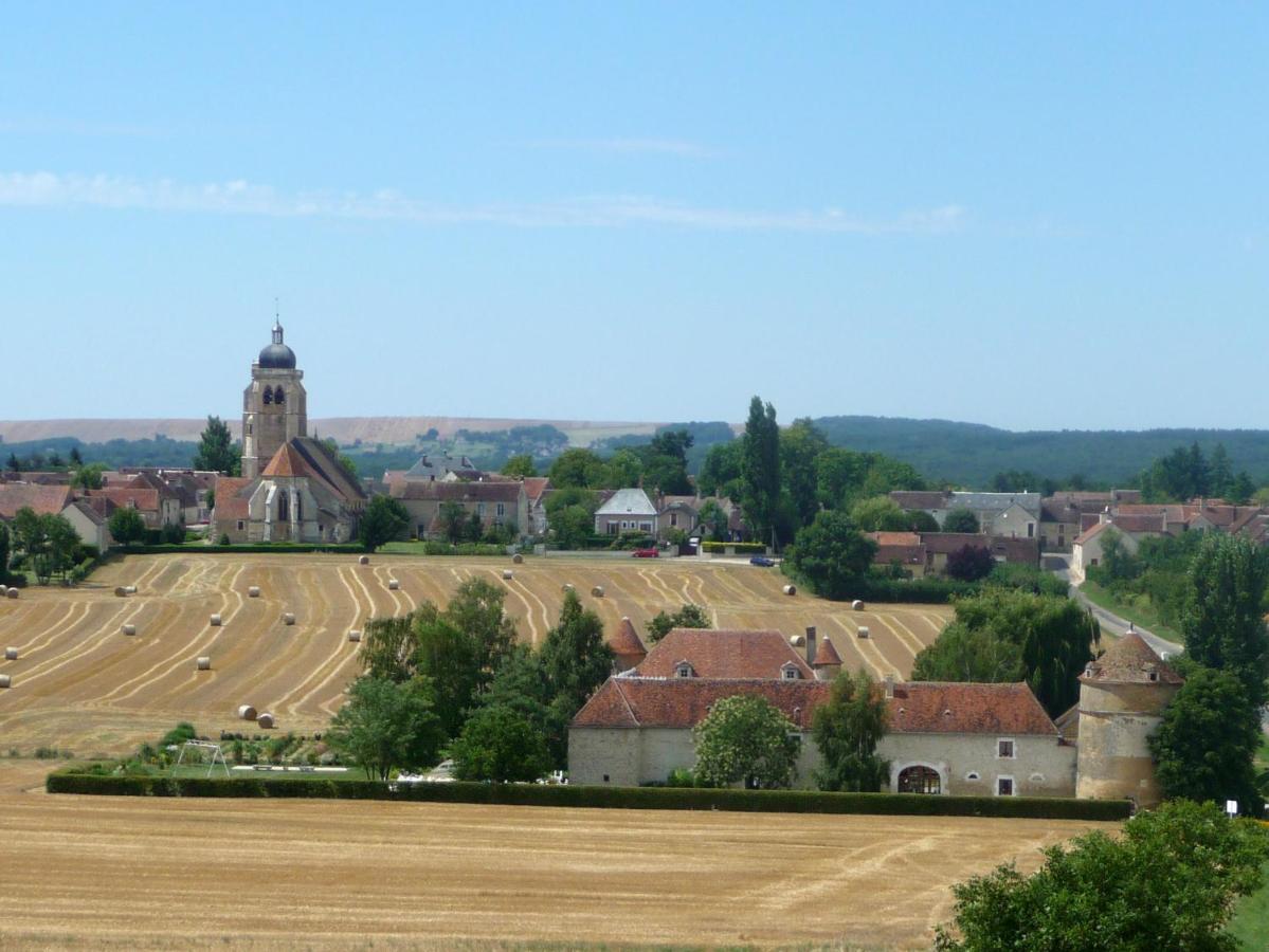 Chateau De Ribourdin Chevannes  エクステリア 写真