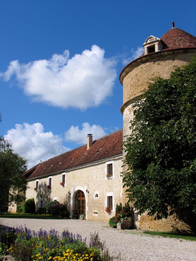 Chateau De Ribourdin Chevannes  エクステリア 写真