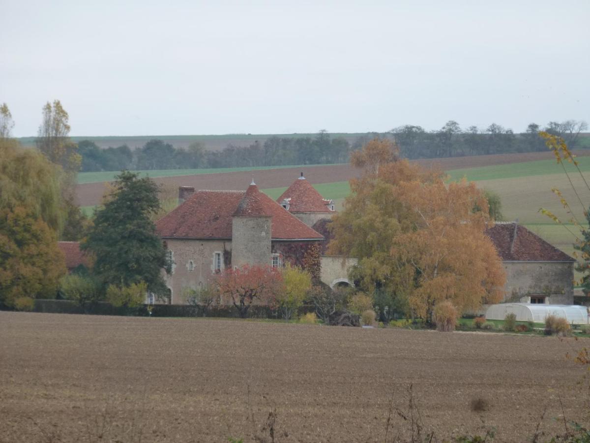 Chateau De Ribourdin Chevannes  エクステリア 写真